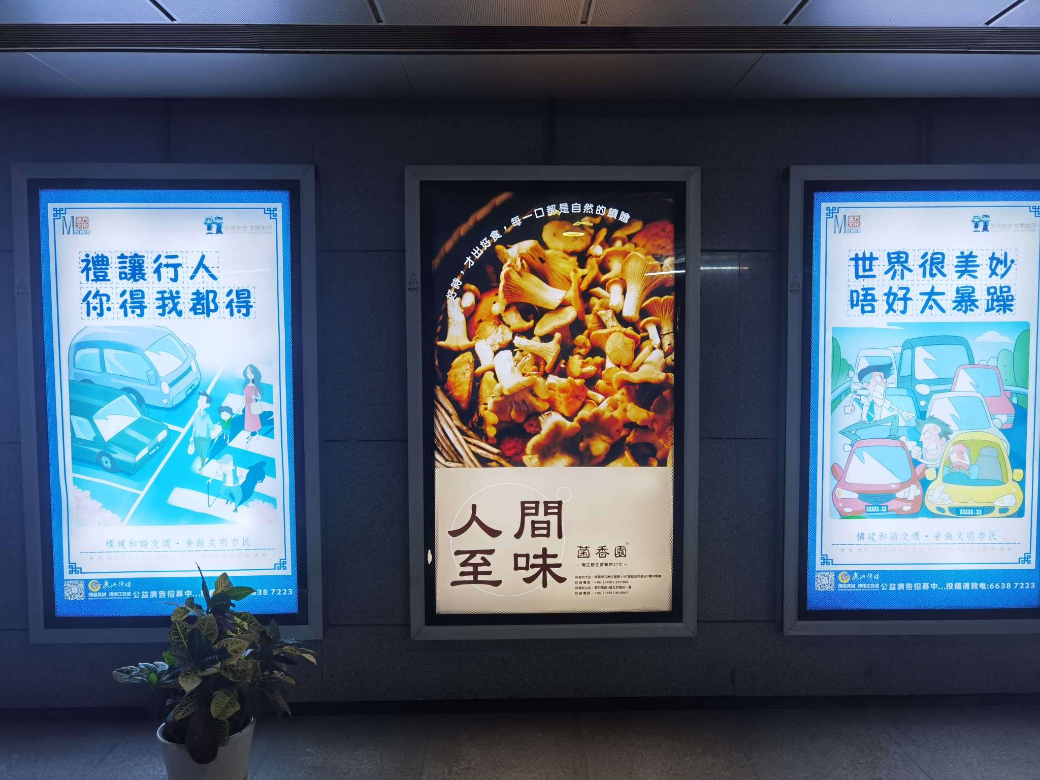 人間至味上刊-菌香園